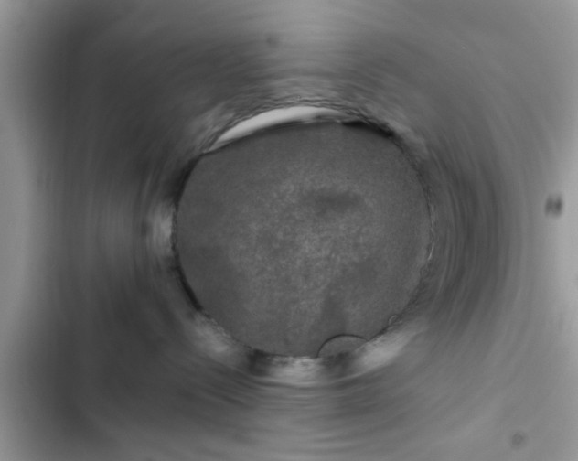 X0000102540288200808151650