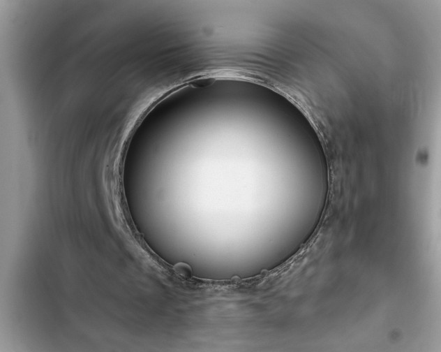 X0000102540289200808151649