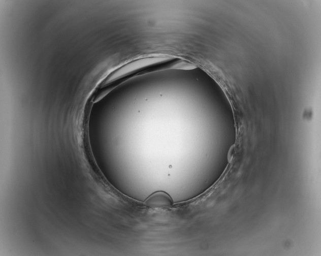 X0000102540290200808151649