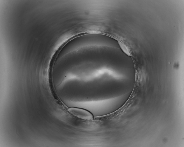 X0000102540292200808151649