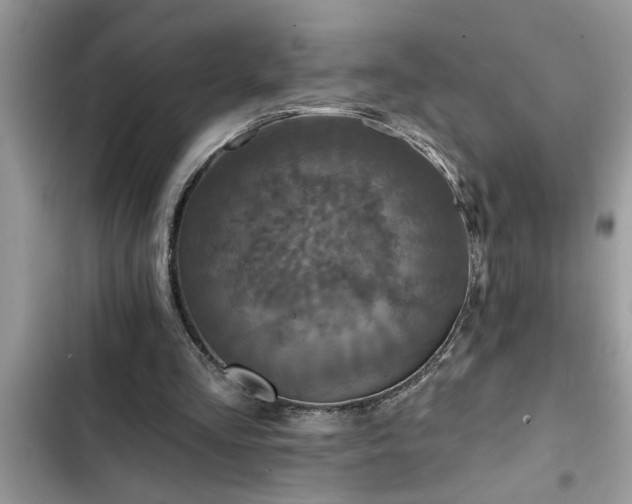 X0000102540293200808151649