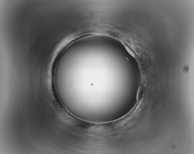 X0000102540294200808151649