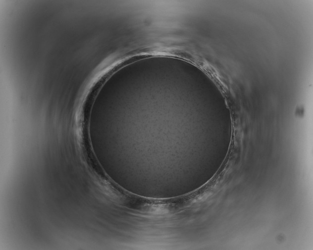 X0000102540295200808151649