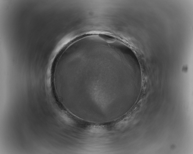 X0000102540296200808151649