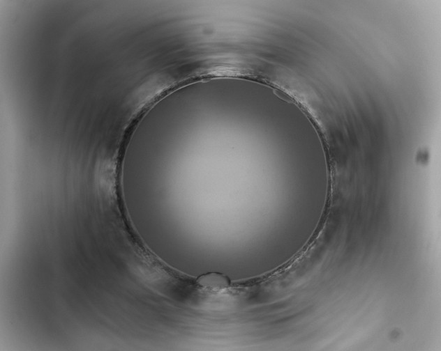 X0000102540297200808151649