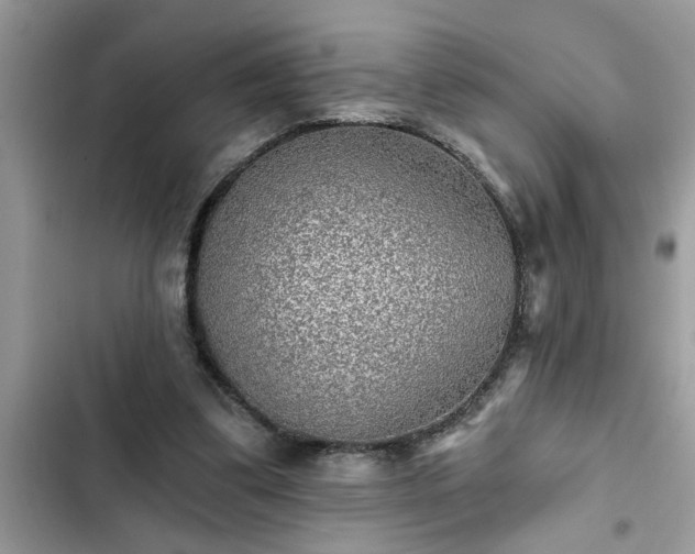 X0000102540299200808151649