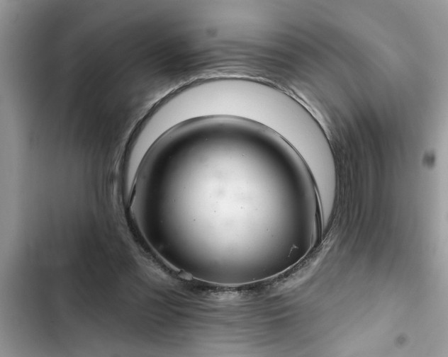 X0000102540301200808151649