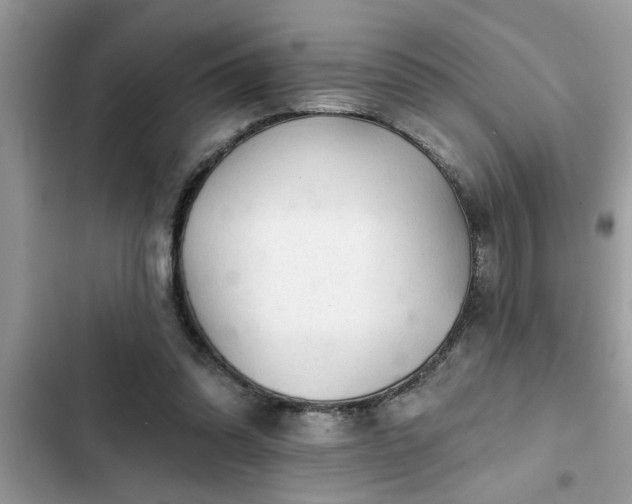 X0000102540302200808151649