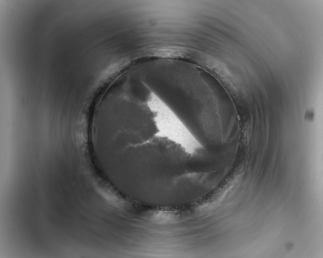 X0000102540303200808151649