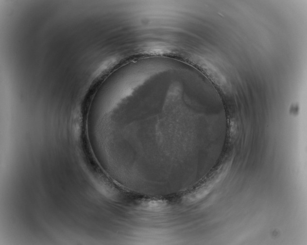 X0000102540304200808151649