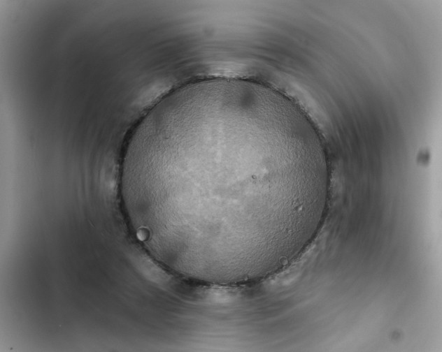 X0000102540305200808151649