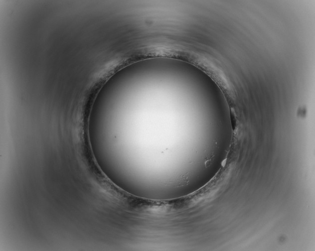 X0000102540306200808151649