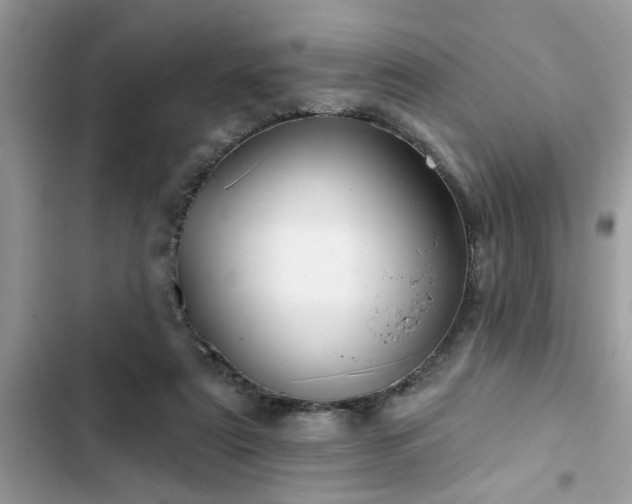 X0000102540307200808151649