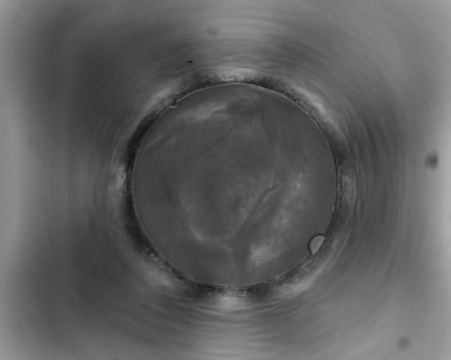 X0000102540308200808151649