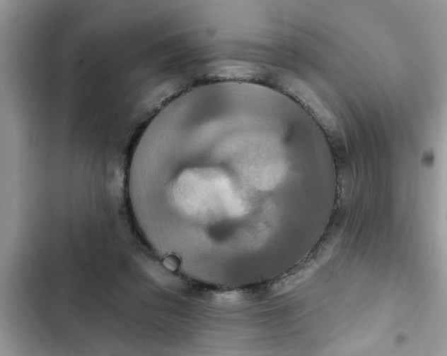 X0000102540309200808151649