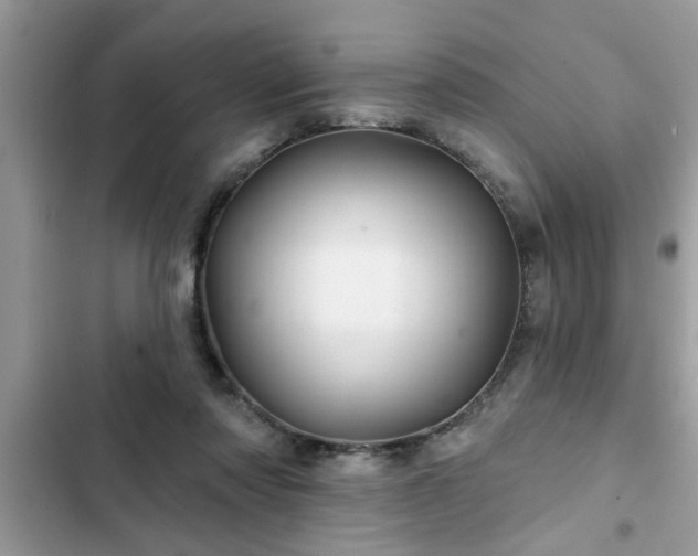 X0000102540310200808151649