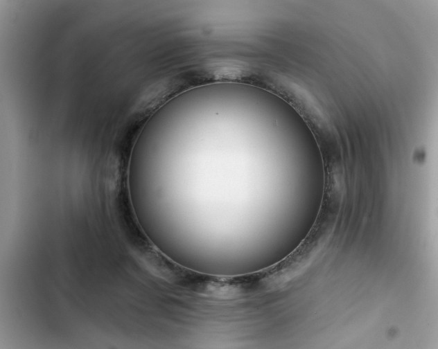 X0000102540311200808151649