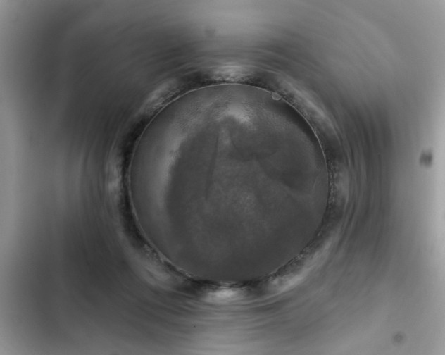 X0000102540312200808151649