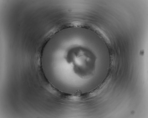 X0000102540313200808151649