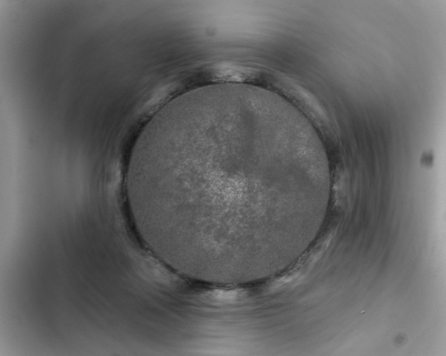 X0000102540314200808151649