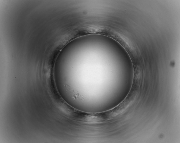 X0000102540315200808151649