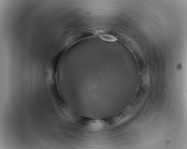 X0000102540316200808151649