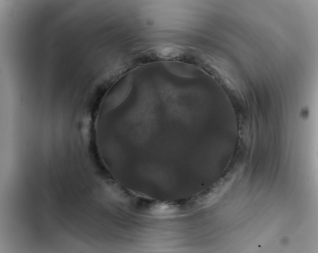 X0000102540319200808151649