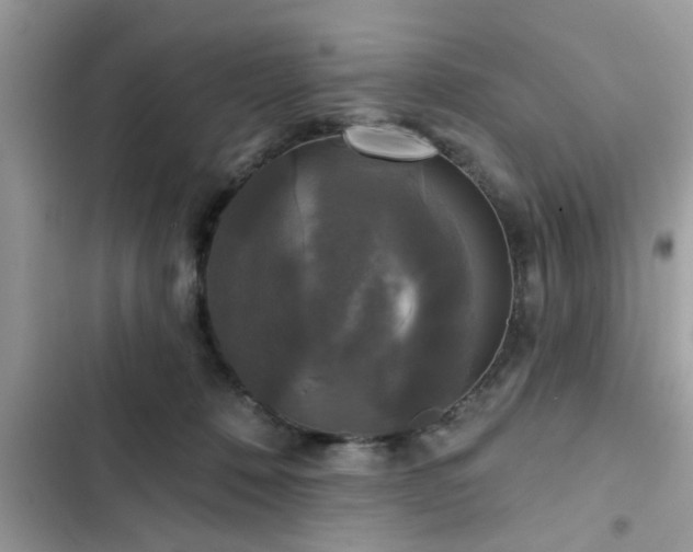 X0000102540320200808151649