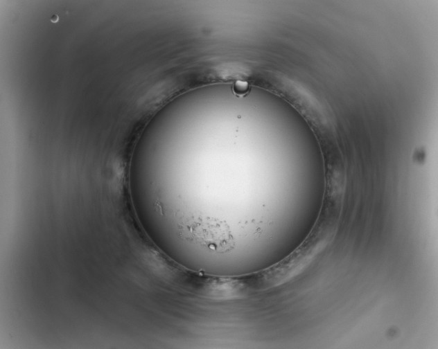 X0000102540321200808151648