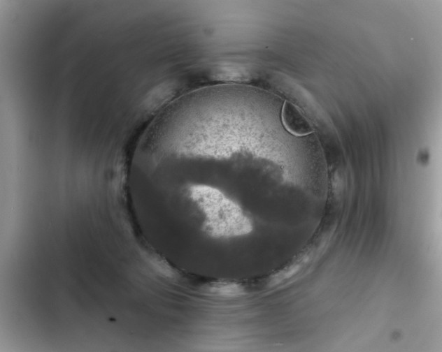 X0000102540322200808151648