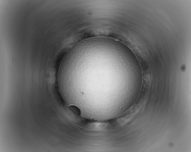 X0000102540323200808151648