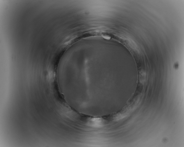 X0000102540324200808151648