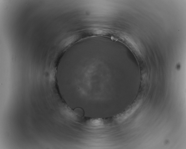 X0000102540325200808151648