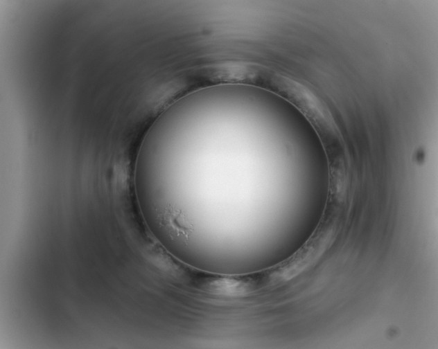 X0000102540326200808151648