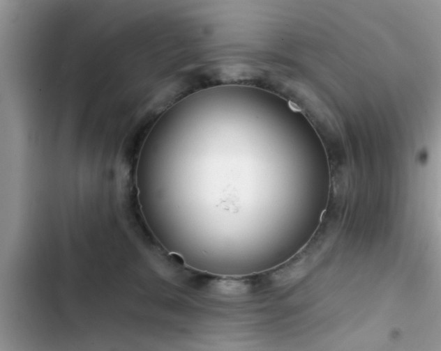 X0000102540327200808151648