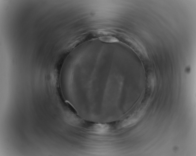 X0000102540328200808151648