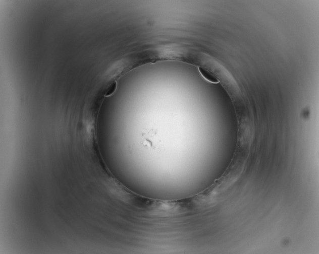 X0000102540329200808151648