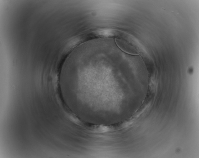 X0000102540330200808151648