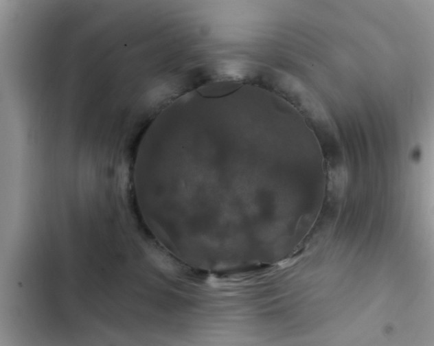 X0000102540331200808151648