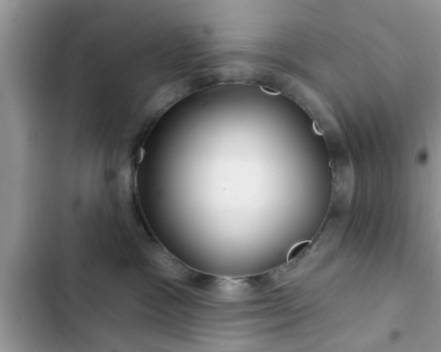 X0000102540333200808151648