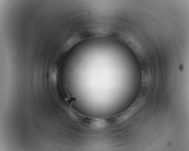 X0000102540334200808151648
