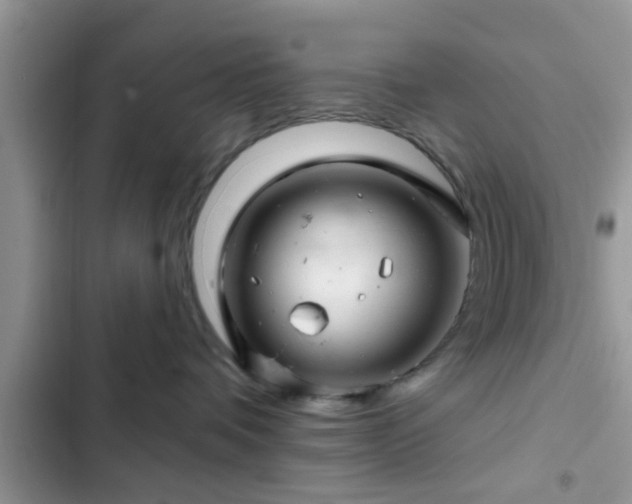 X0000102540336200808151648