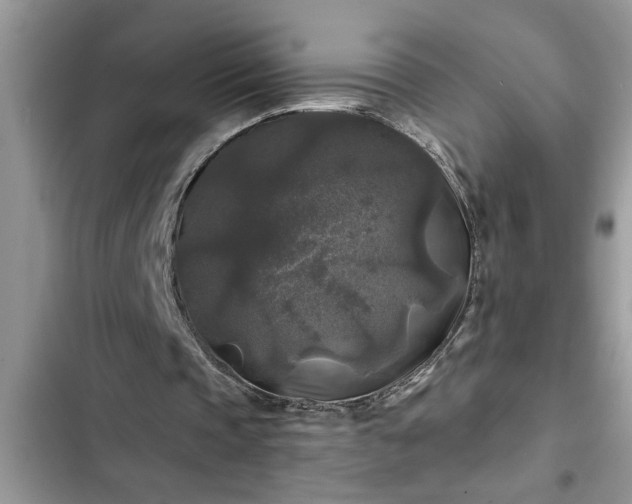 X0000102540337200808151648