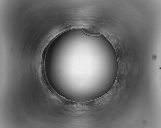 X0000102540338200808151648