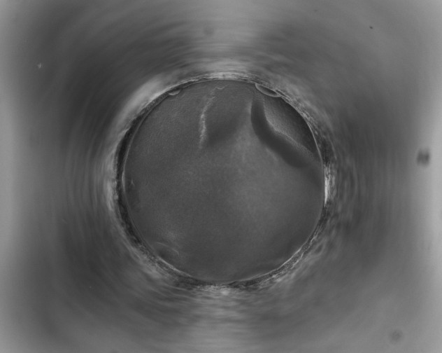 X0000102540339200808151648