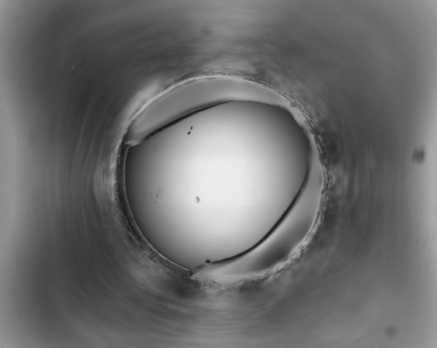 X0000102540340200808151648