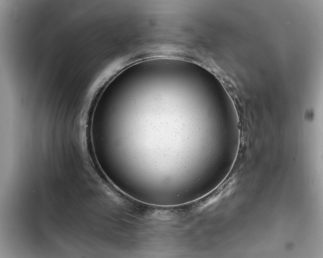 X0000102540341200808151648