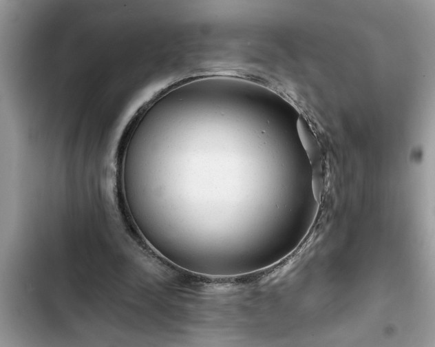 X0000102540342200808151648
