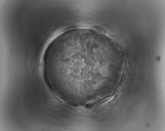 X0000102540343200808151648