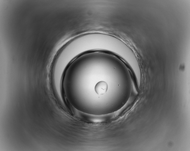 X0000102540344200808151648